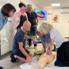 DV par simulation en cabinet dentaire